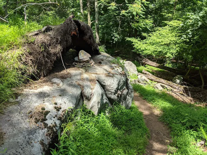 Taxter Ridge Picture 4