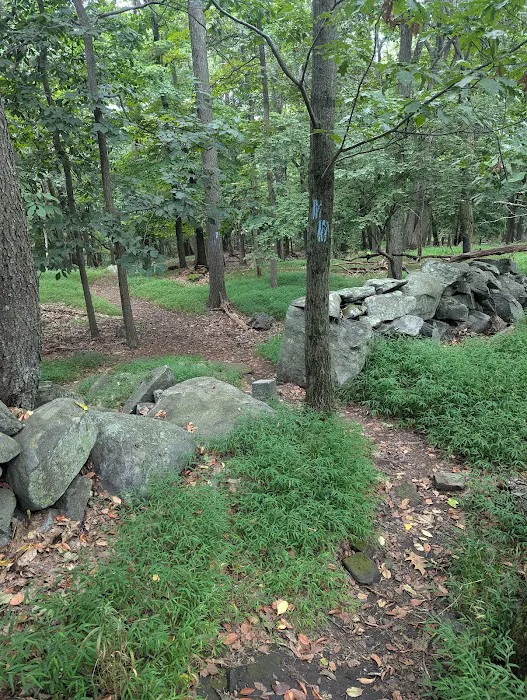 Taxter Ridge Picture 3