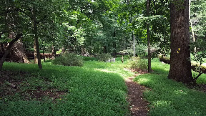 Taxter Ridge Picture 7