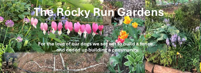 Rocky Run Gardens Picture 1