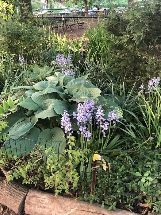 Rocky Run Gardens Picture 3
