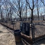 Rocky's Dog Run
