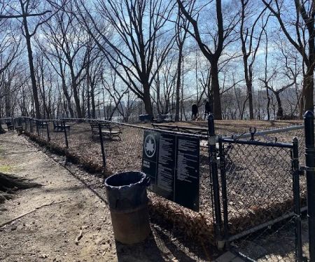 Rocky's Dog Run
