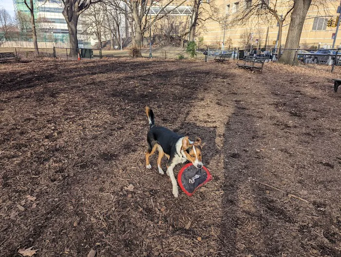 Rocky's Dog Run Picture 2