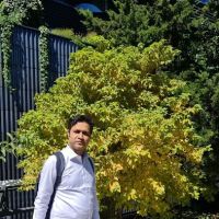 High Line ico