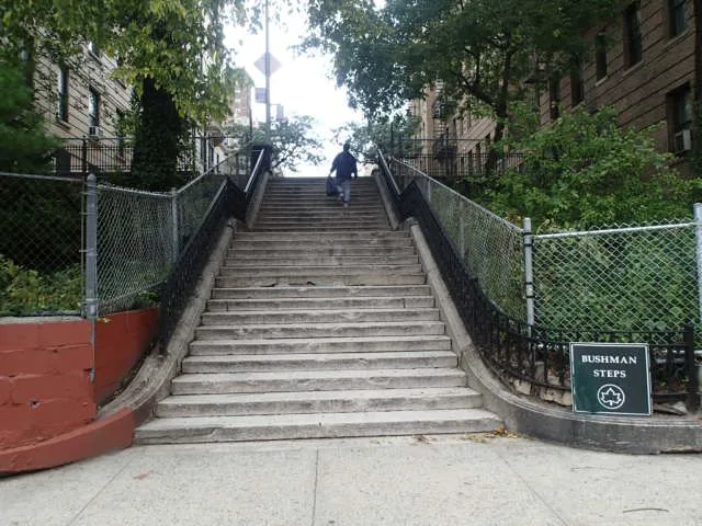 Bushman Steps Picture 7