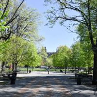 Marcus Garvey Park ico