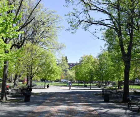 Marcus Garvey Park