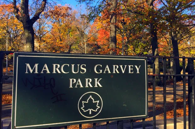 Marcus Garvey Park Picture 4