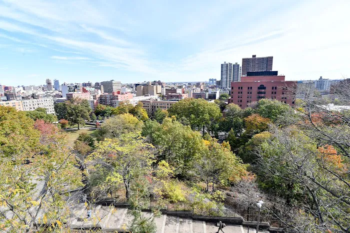 Marcus Garvey Park Picture 8