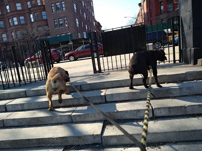 Marcus Garvey Dog Run Picture 5
