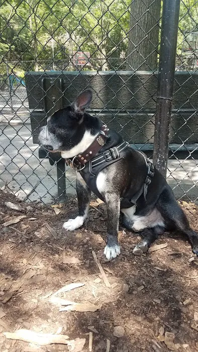 Marcus Garvey Dog Run Picture 6