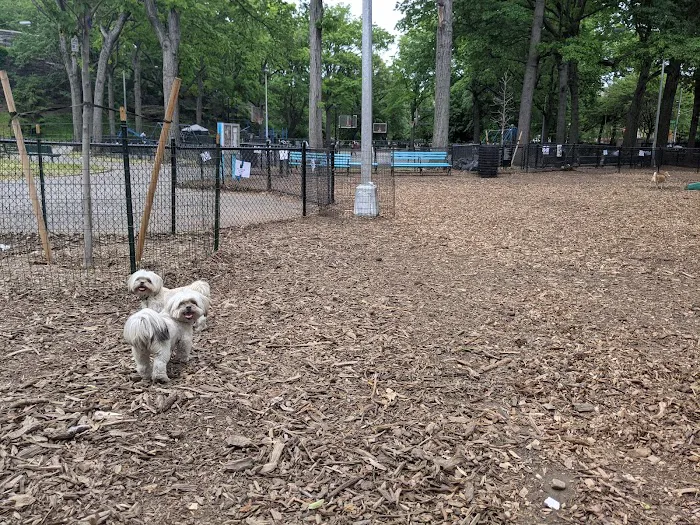 Marcus Garvey Dog Run Picture 4