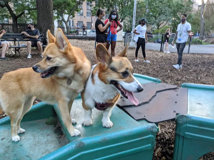 Marcus Garvey Dog Run Picture 9