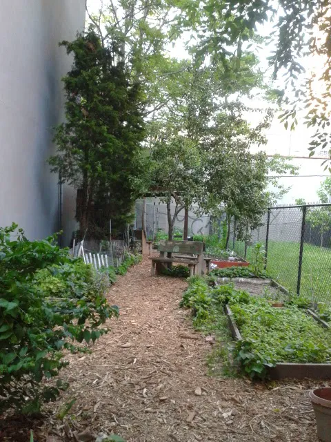West 124th Street Picture 1