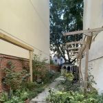 Walter Miller III Memorial Garden (La Casa Frela) Community Garden - East Harlem