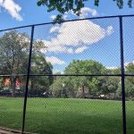 Douglas Park Bench