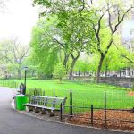 Parkview Fifth Avenue