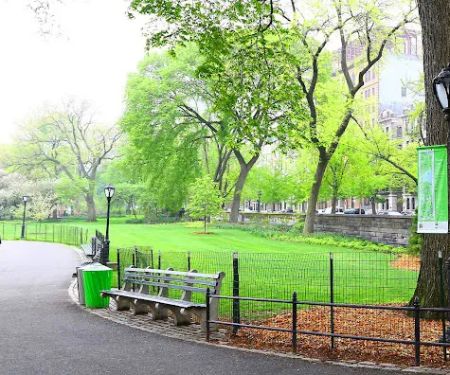 Parkview Fifth Avenue