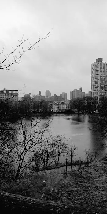 Parkview Fifth Avenue Picture 3
