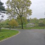Jardin Central Pre-Assessment Shelter