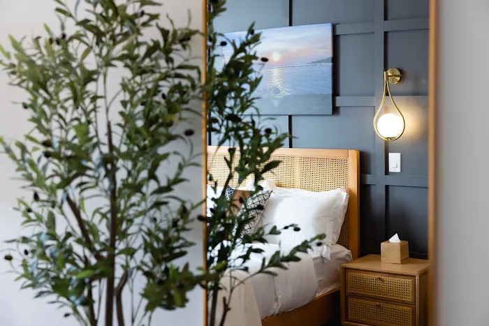The Modernist Hotel Picture 6