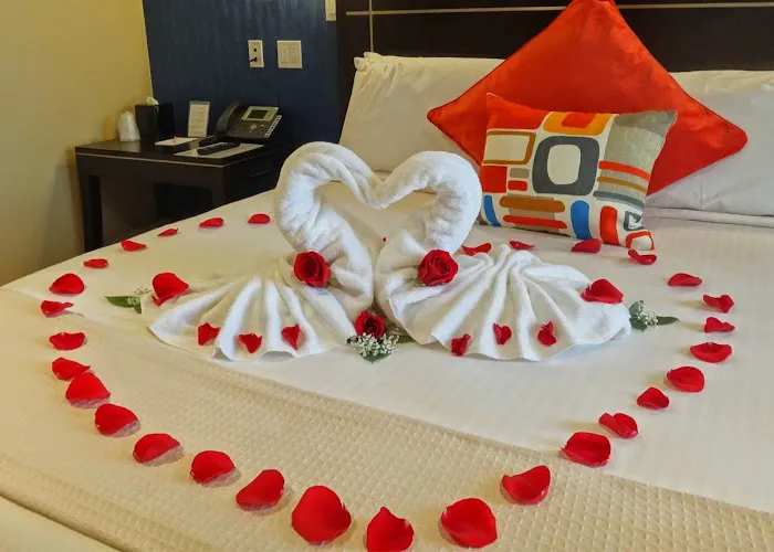 Nesva Hotel Picture 4