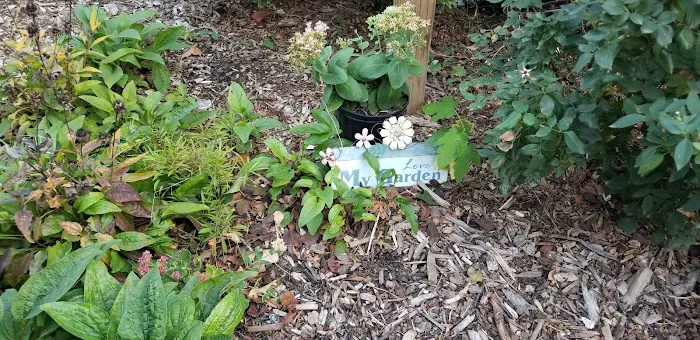 Windmill Garden Picture 6