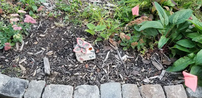 Windmill Garden Picture 4