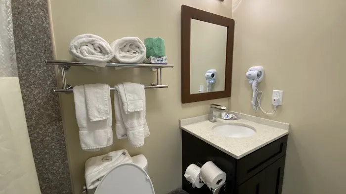 Astoria Delancy Inn & Suites Picture 9
