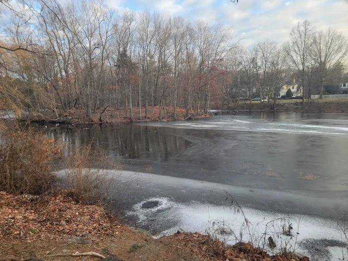 East Meadow Picture 3