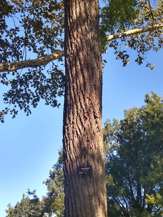 East Meadow Picture 2