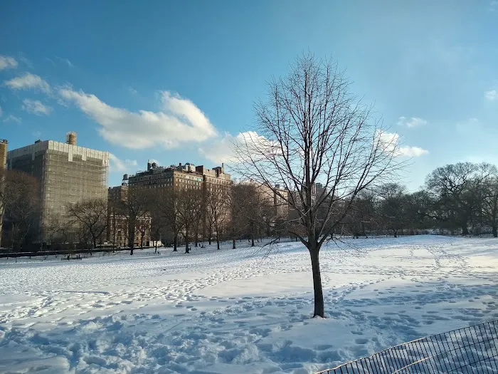 East Meadow Picture 1