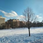 East Meadow
