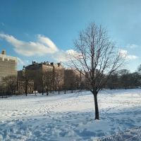East Meadow ico