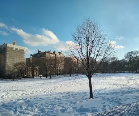 East Meadow