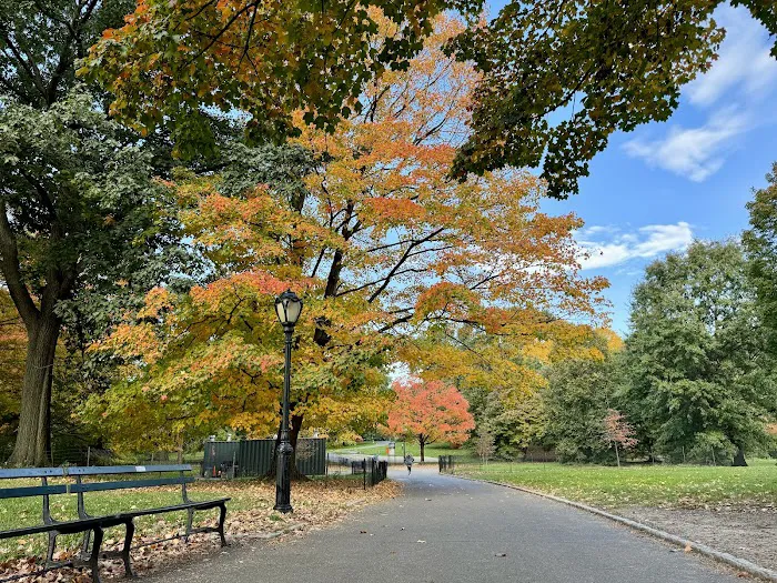 East Meadow Picture 4