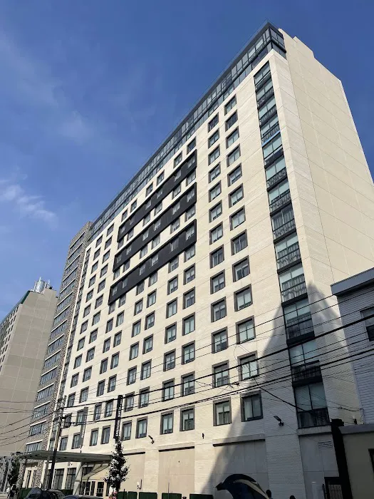 SpringHill Suites New York Queens Picture 7