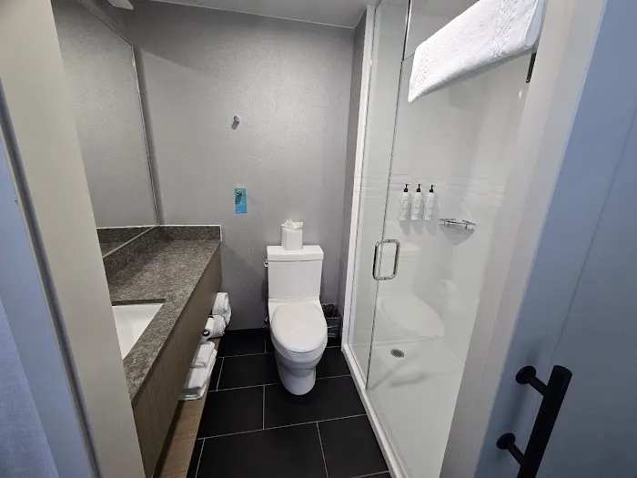 SpringHill Suites New York Queens Picture 3