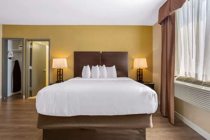 Best Western Plus Plaza Hotel Picture 8