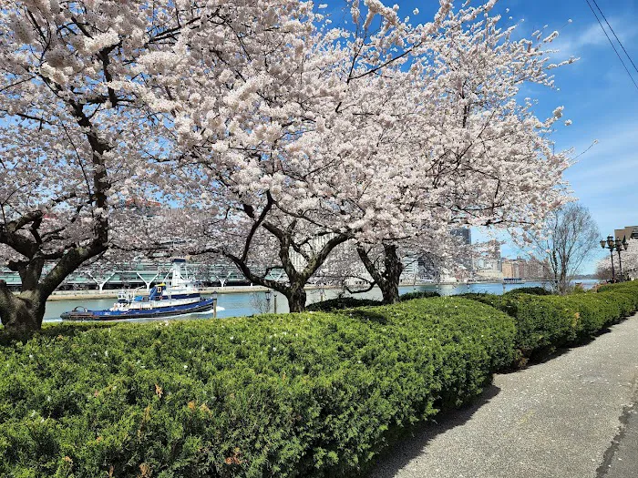 Riverwalk Commons Picture 1