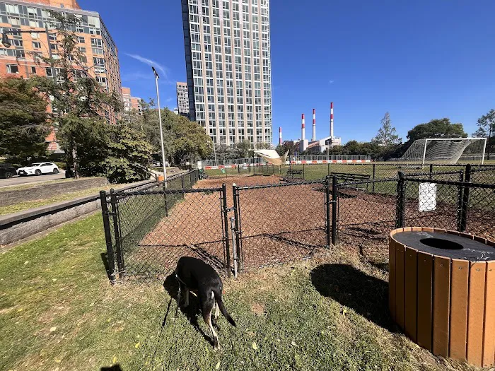 Southtown Dog Run Picture 2
