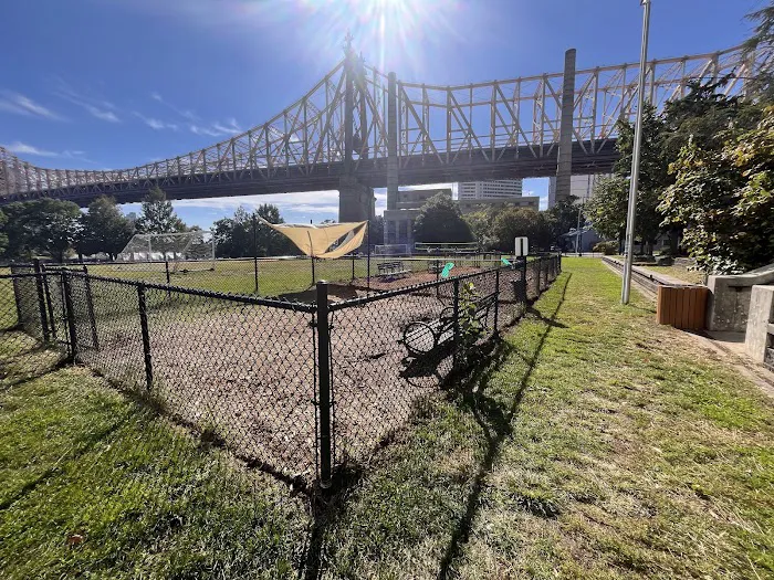Southtown Dog Run Picture 1