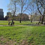 North Meadow