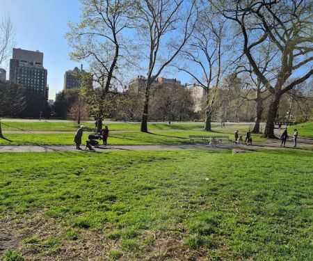 North Meadow