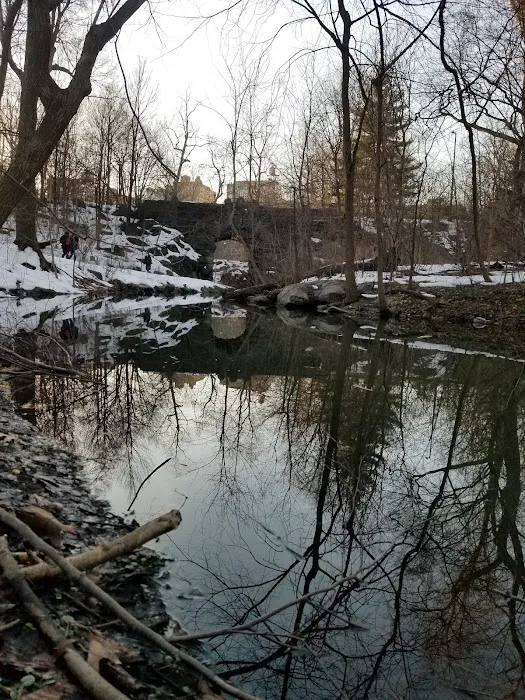 North Meadow Picture 5