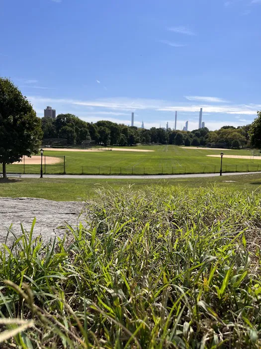 North Meadow Picture 4