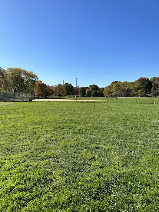 Soccer Field E Picture 6