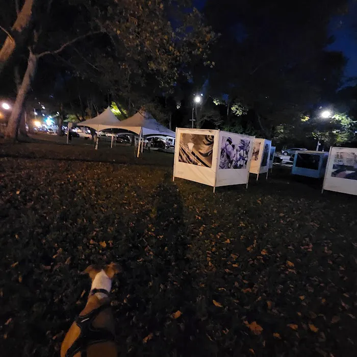 Sugar Hill Luminaries Lawn Picture 8
