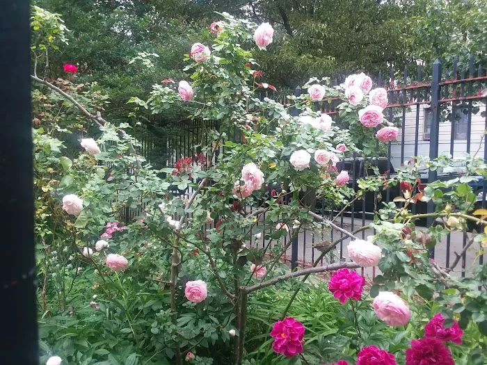 Convent Garden Picture 1